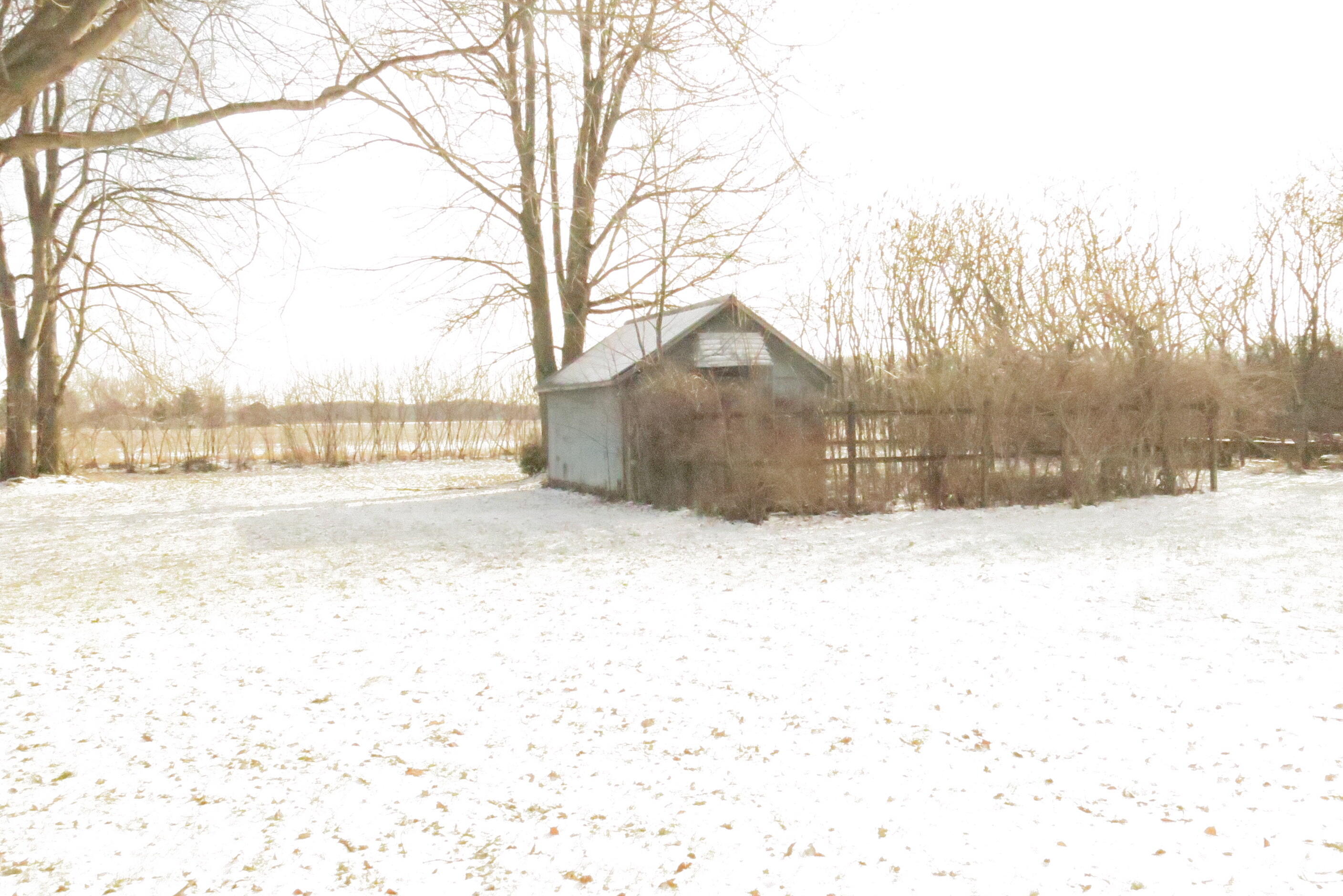 717 East Girard Road Quincy, MI 49082 - Photo 36 of 39 IMG_0409