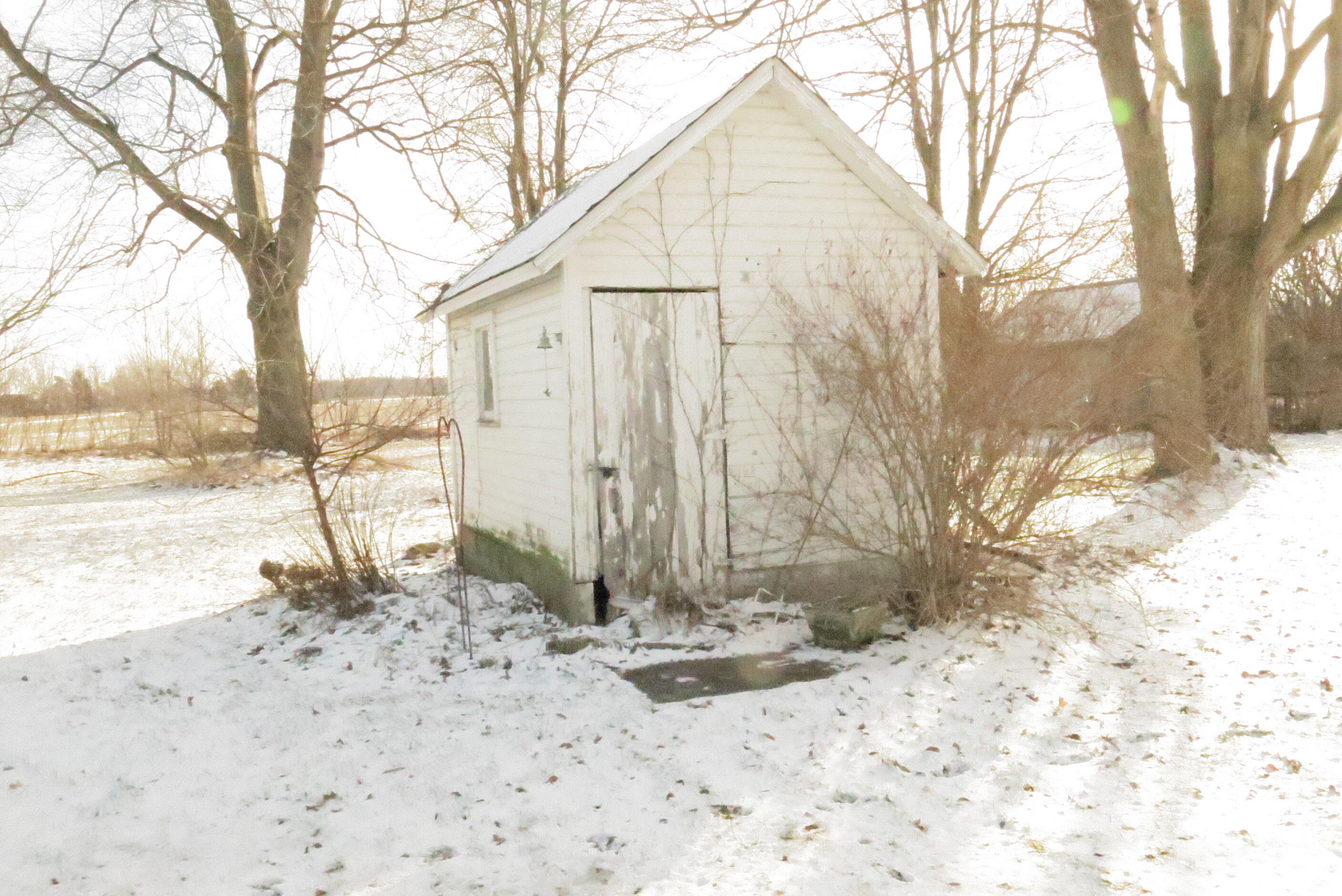 717 East Girard Road Quincy, MI 49082 - Photo 37 of 39 IMG_0408