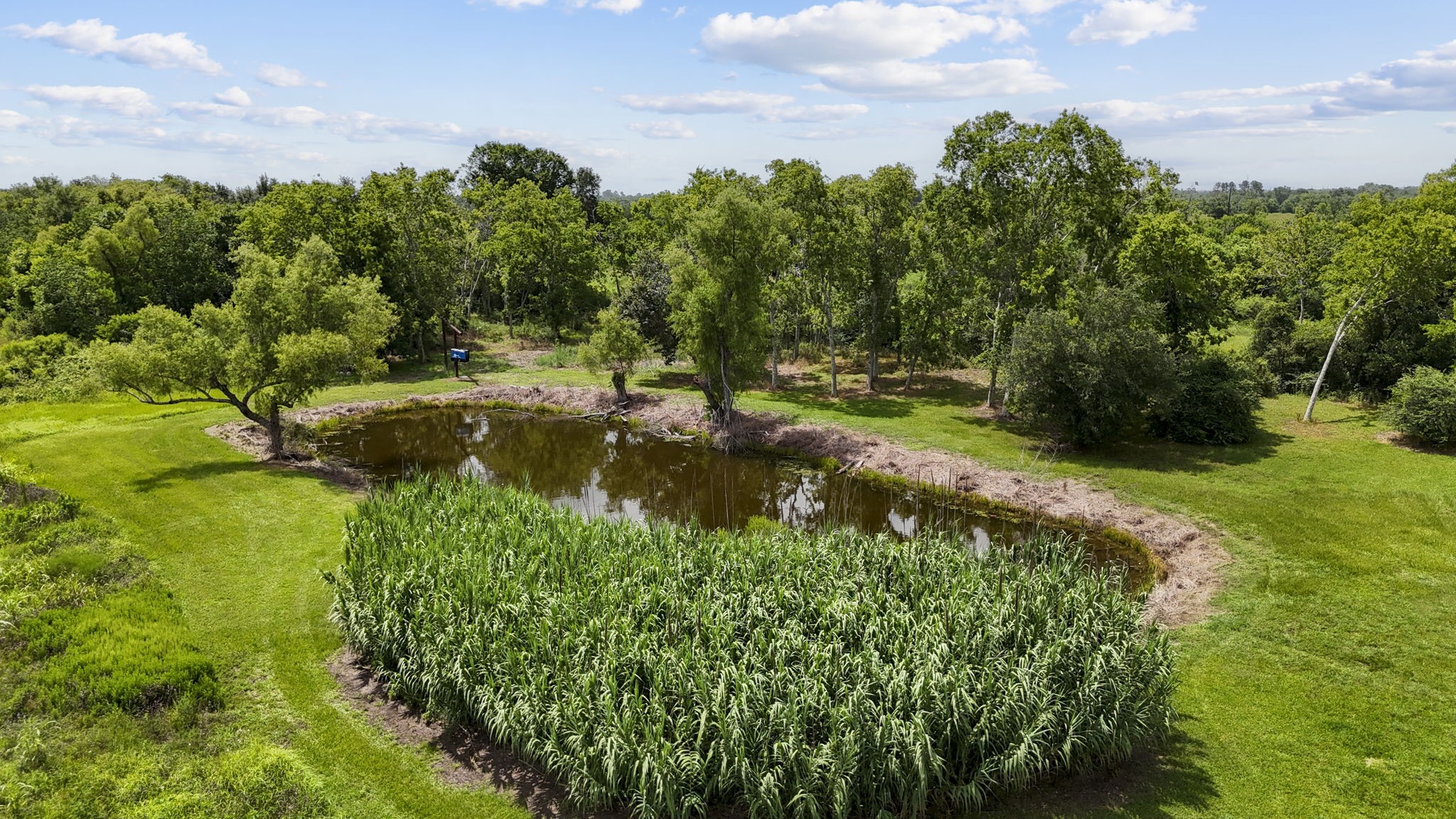 4338 Davenport Parkway Rosharon, TX 77583 - Photo 41 of 46