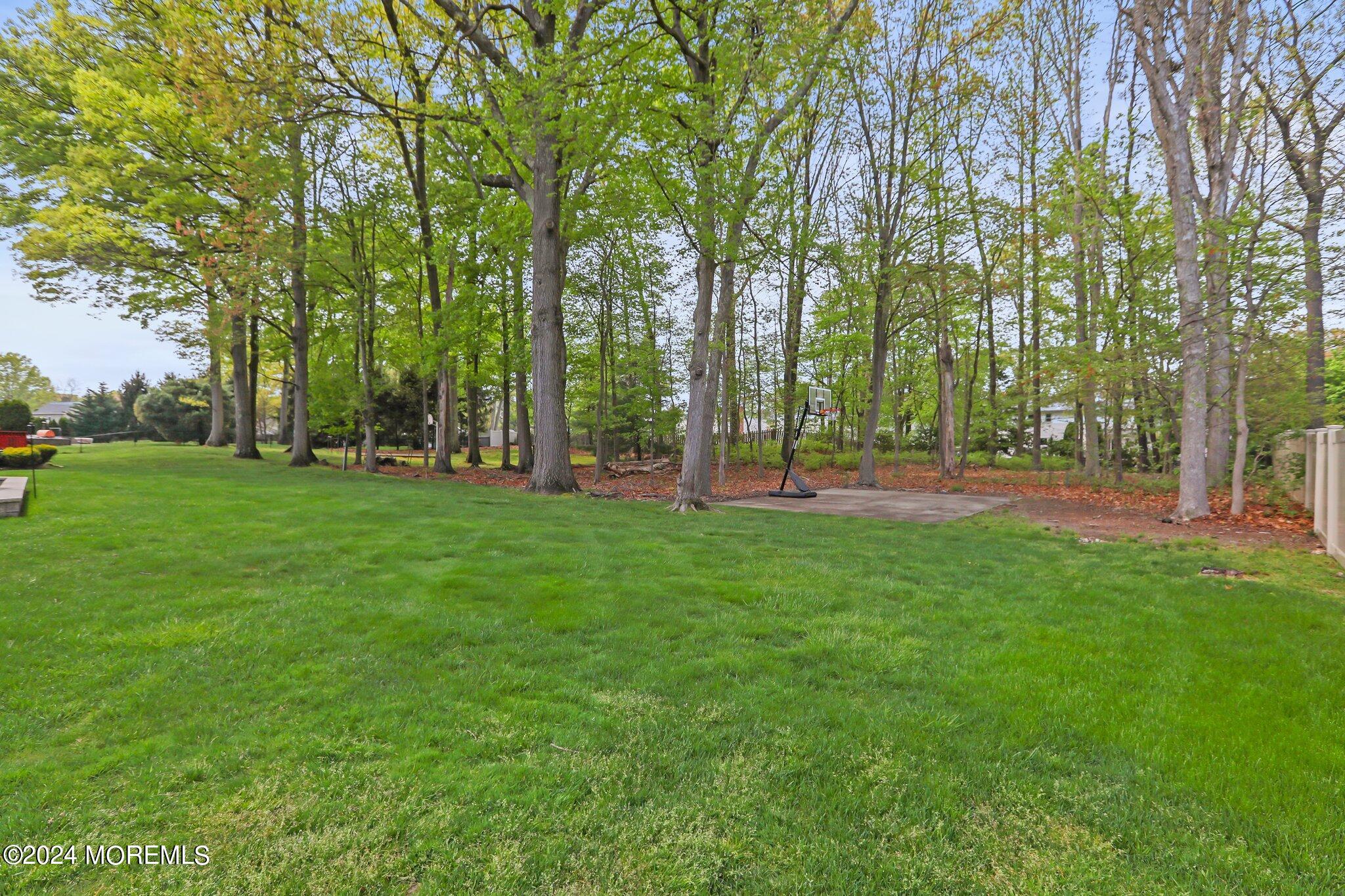 24 Apache Drive Manalapan, NJ 07726 - Photo 25 of 25 YARD