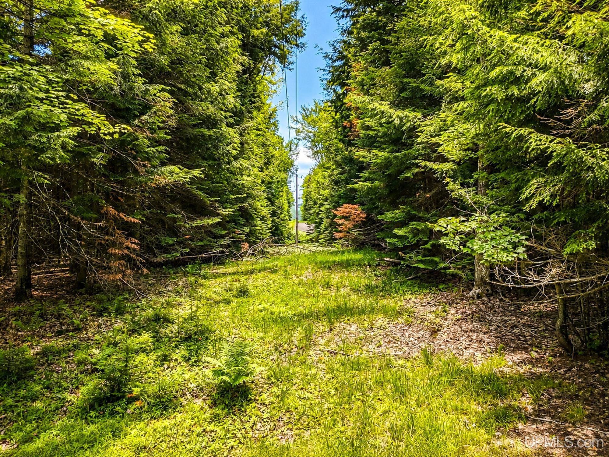 Lot 4 State Line Lake Road East Marenisco, MI 49947 - Photo 7 of 16