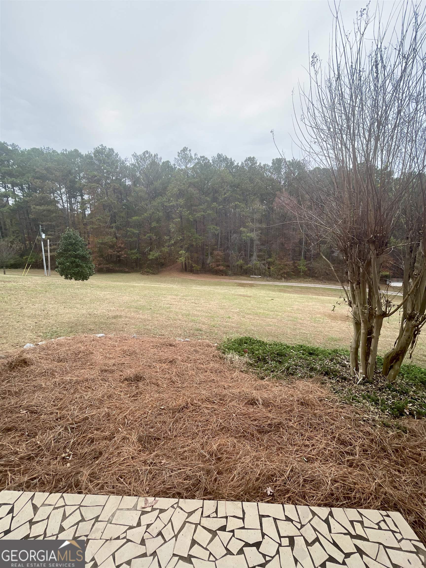 242 Ebenezer Church Road Fayetteville, GA 30215 - Photo 42 of 43 a view of a yard with an ocean