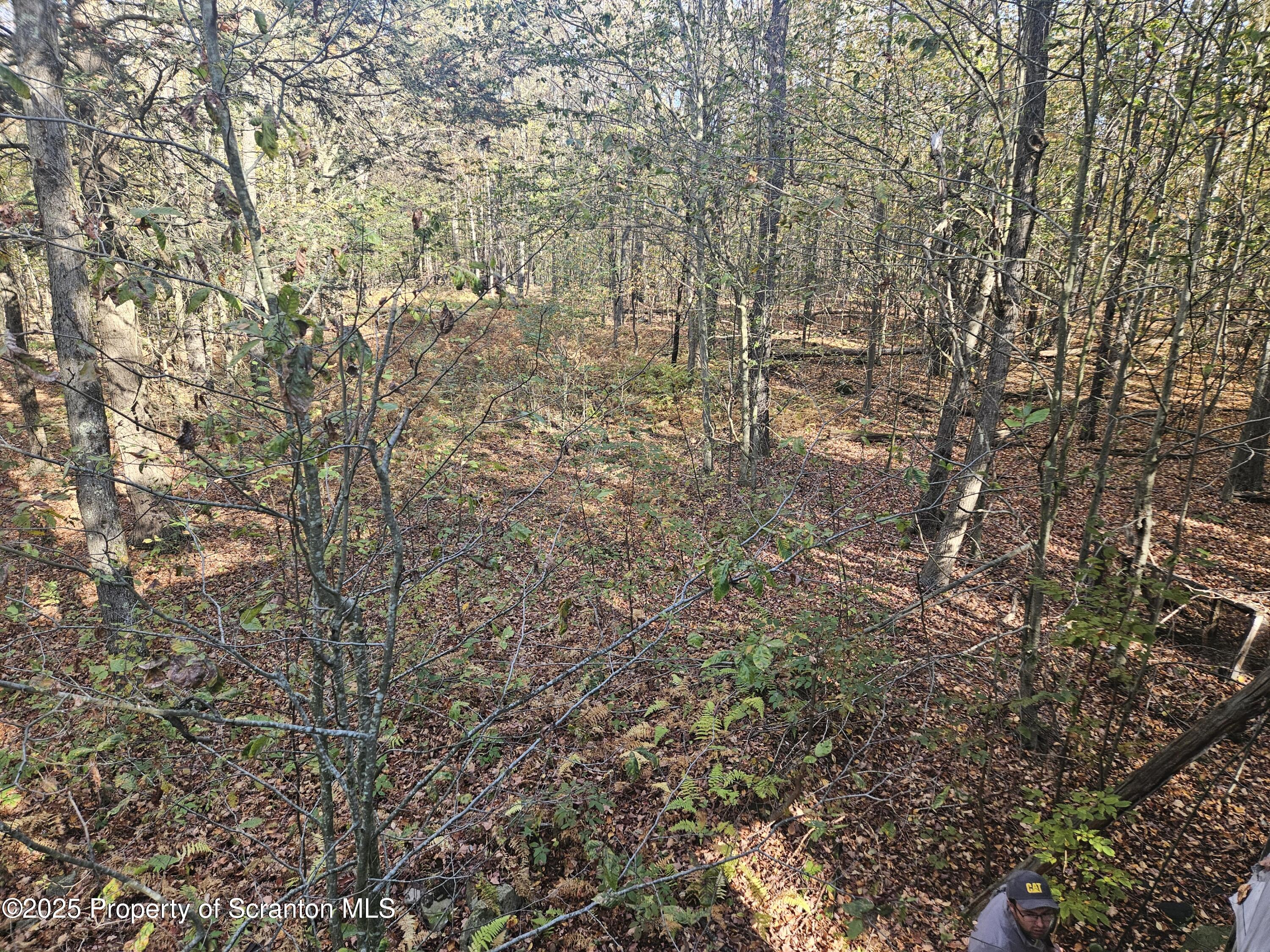 Gas Hollow Road Newfoundland, PA 18445 - Photo 11 of 20 20251004_093724