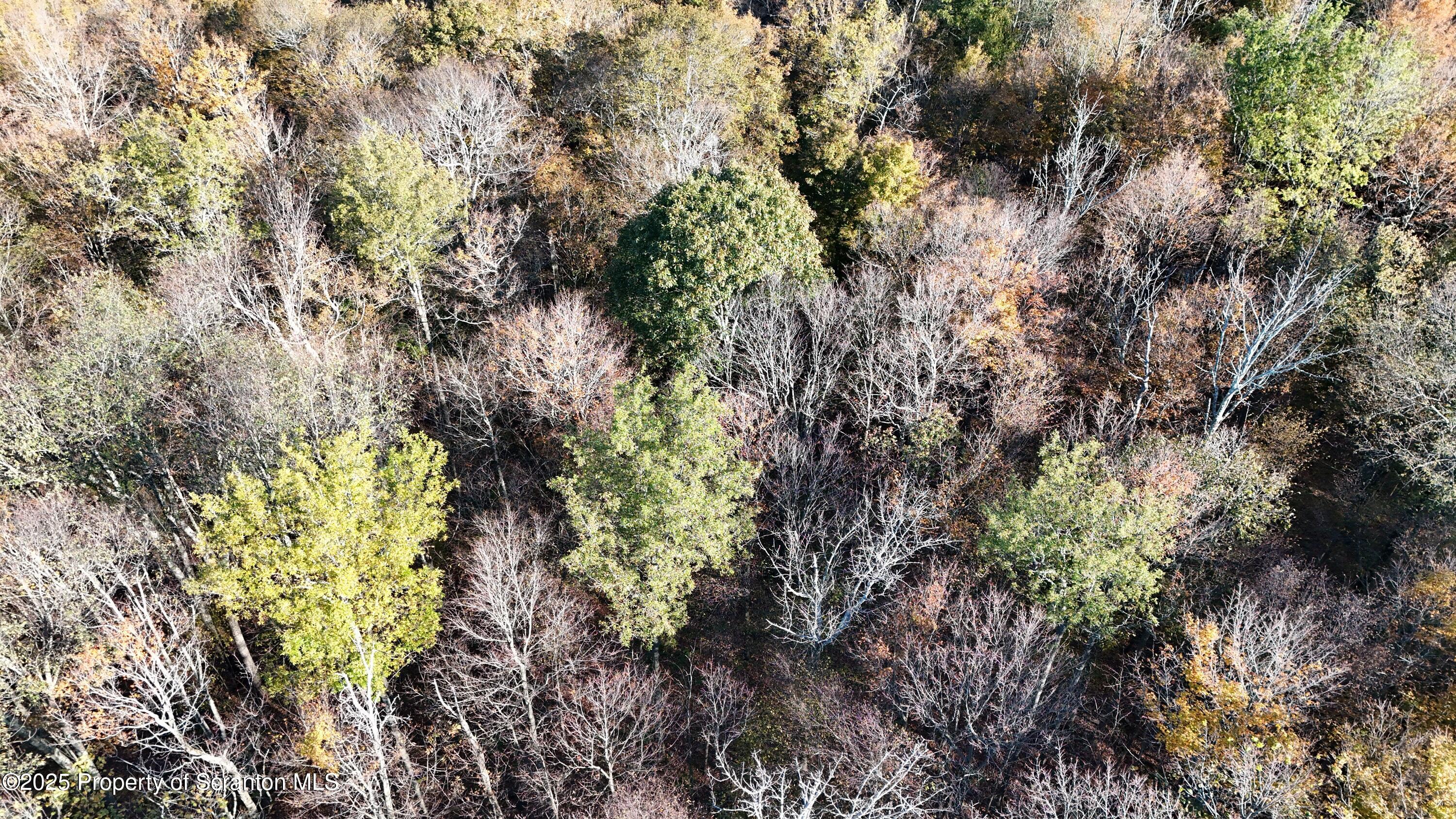 Gas Hollow Road Newfoundland, PA 18445 - Photo 15 of 20 12