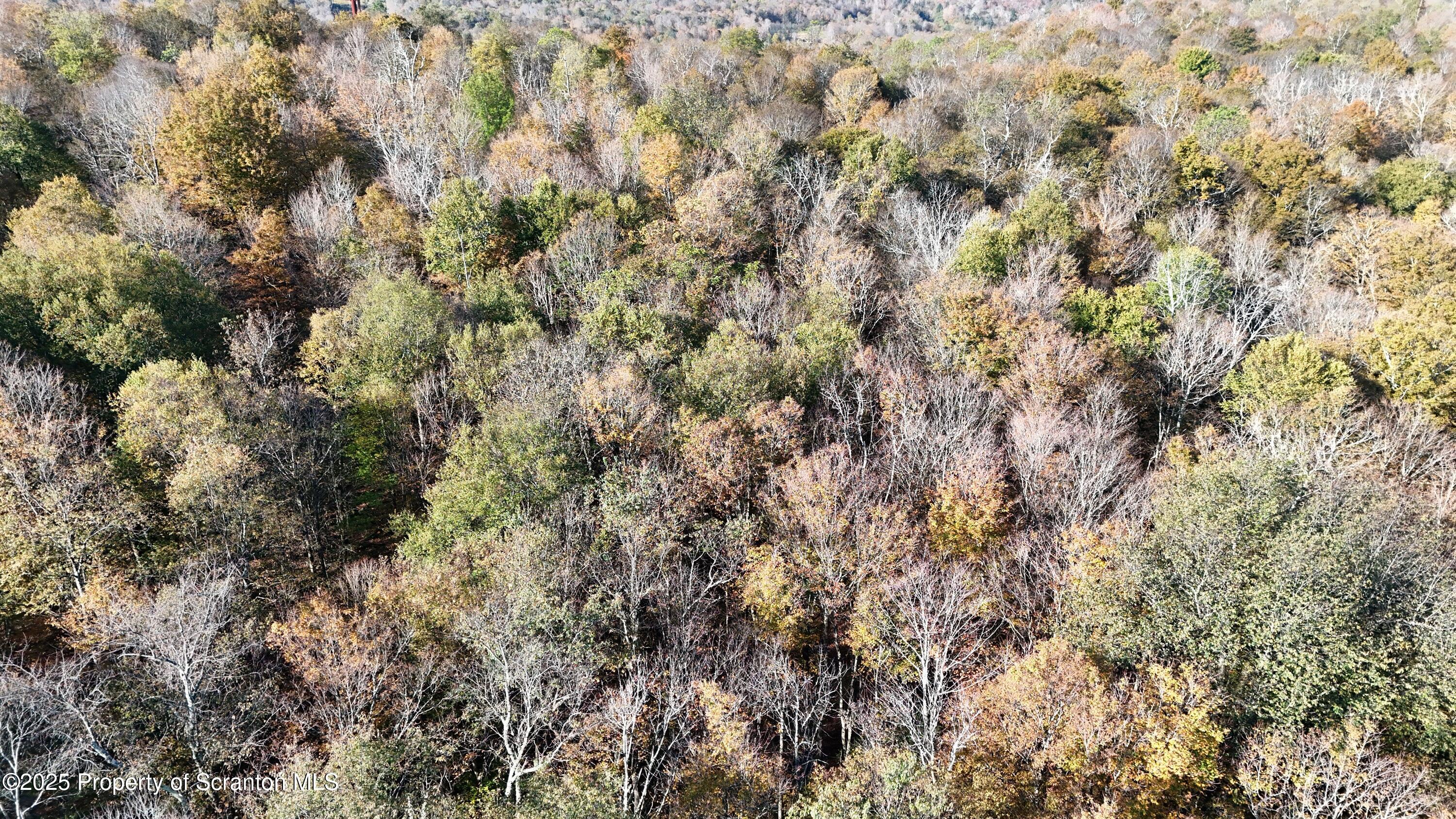 Gas Hollow Road Newfoundland, PA 18445 - Photo 16 of 20 1