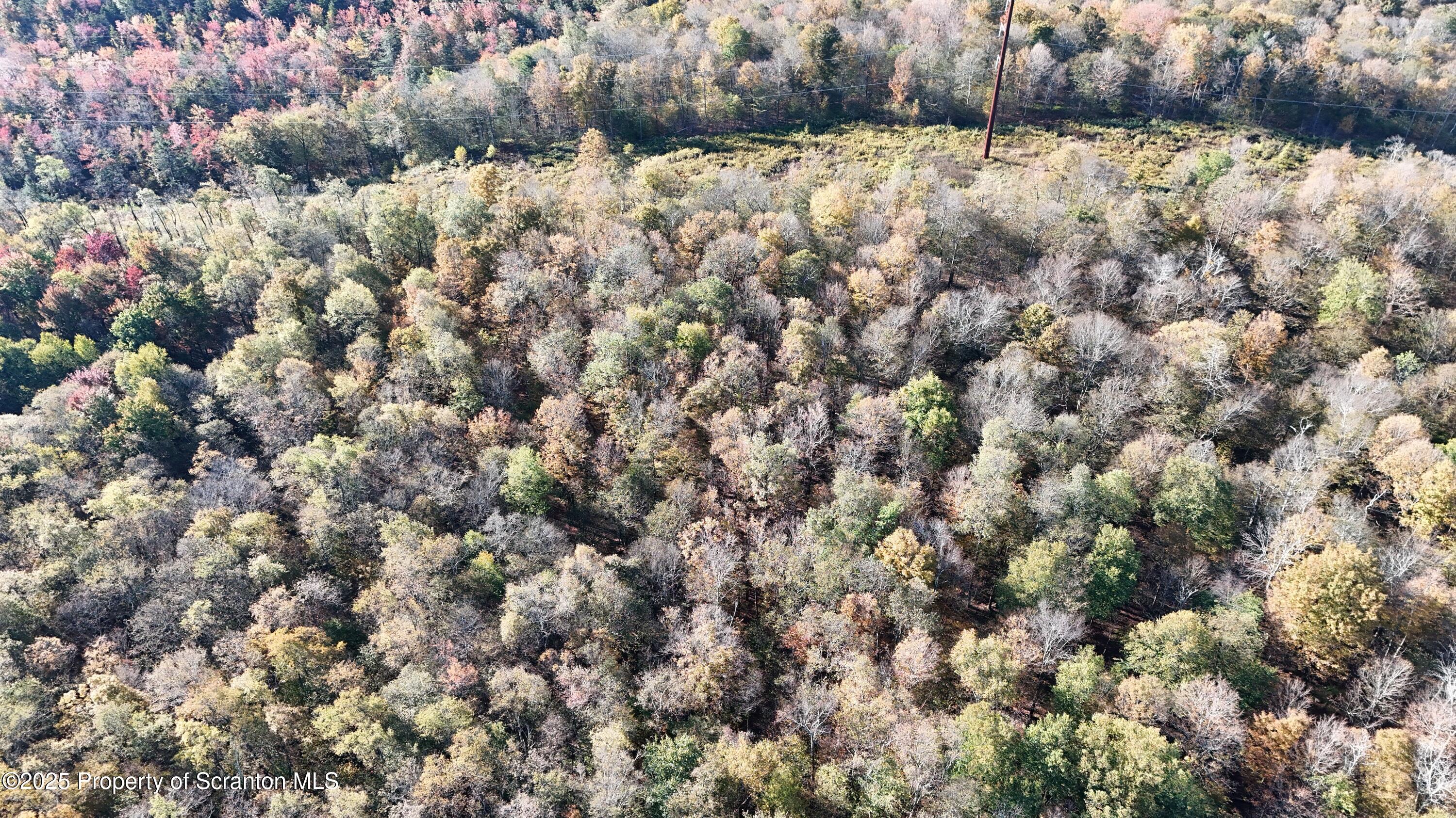 Gas Hollow Road Newfoundland, PA 18445 - Photo 17 of 20 DJI_20251004092518_0008_D