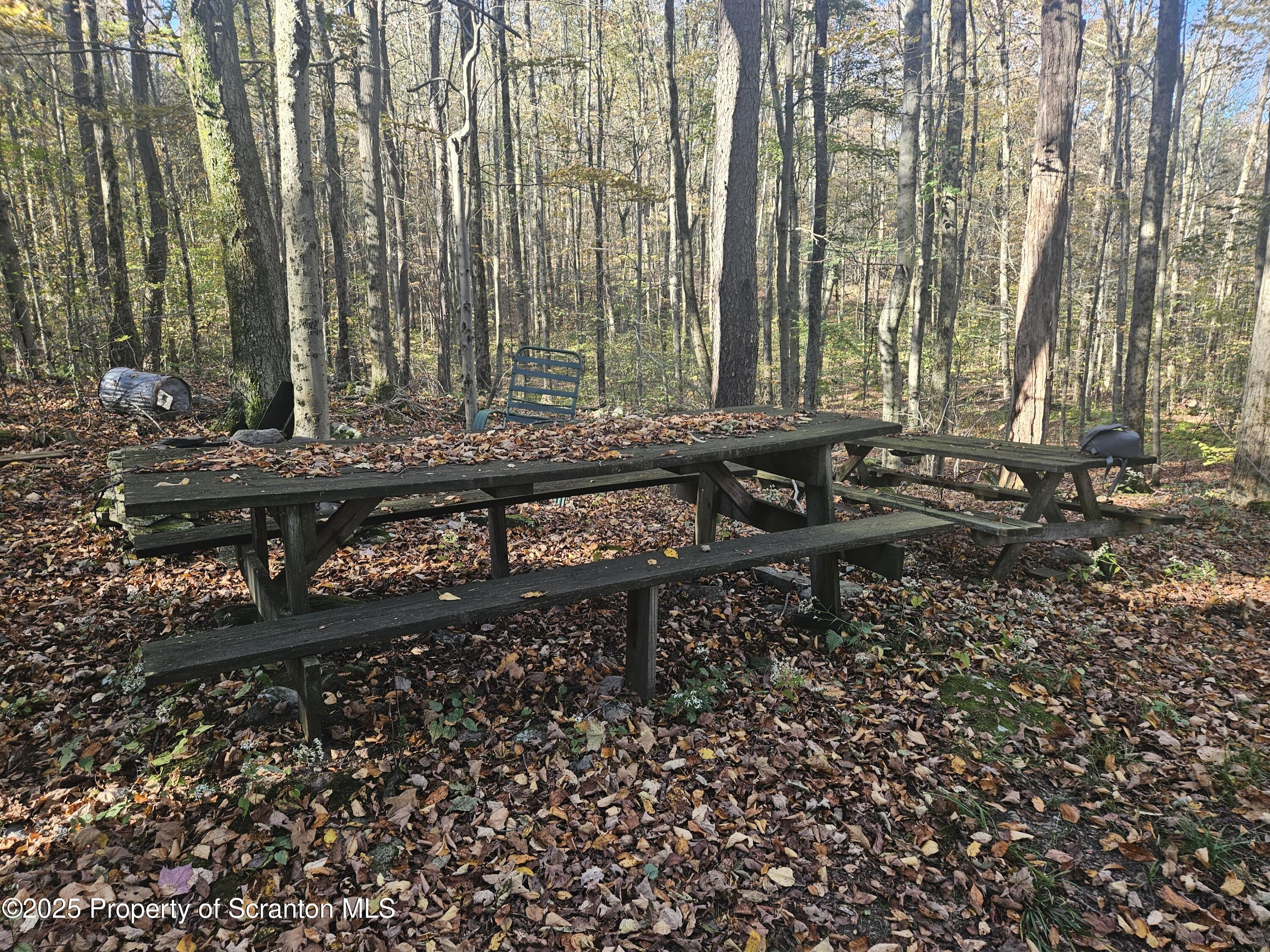 Gas Hollow Road Newfoundland, PA 18445 - Photo 3 of 20 20251004_092031