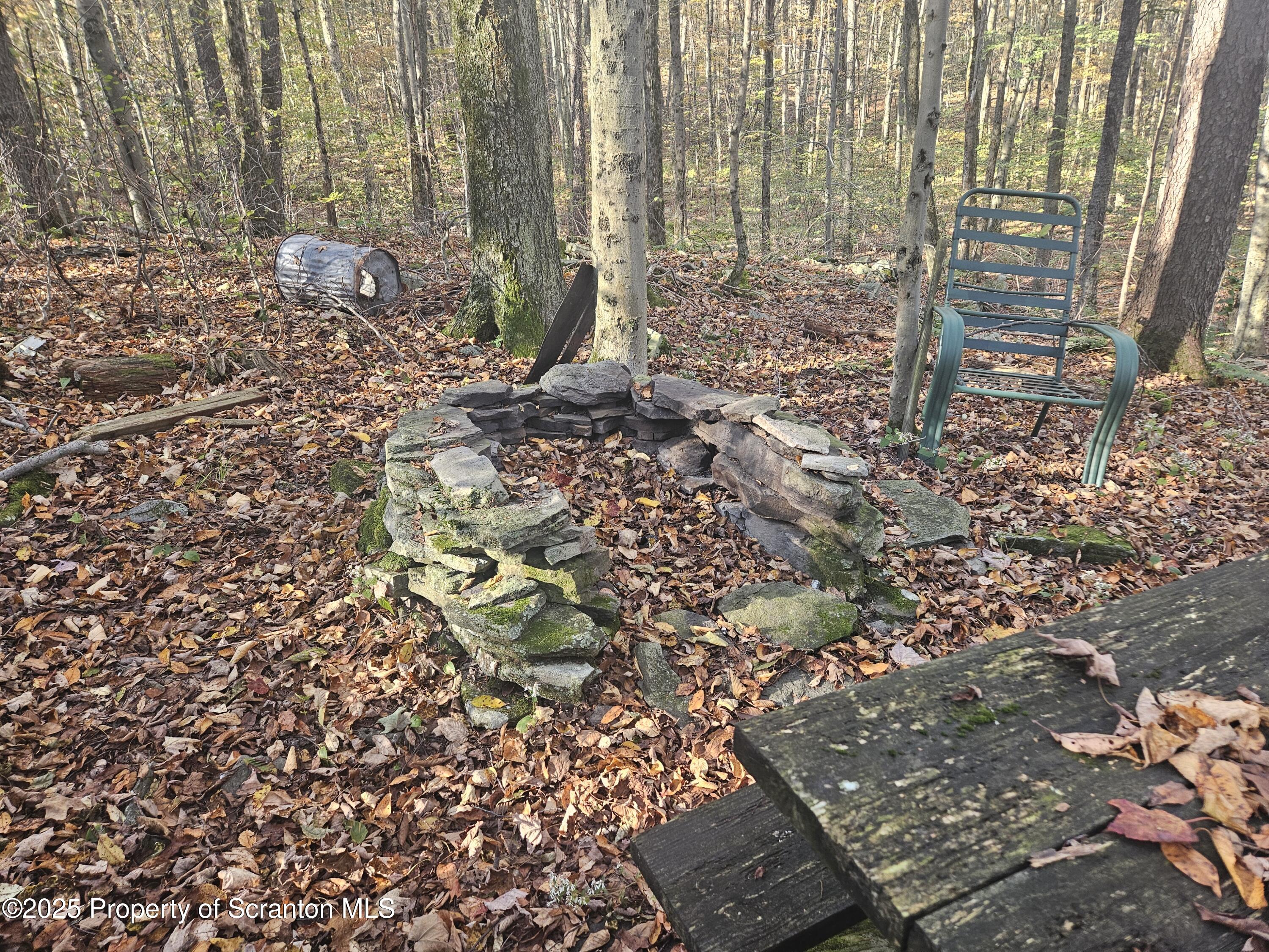 Gas Hollow Road Newfoundland, PA 18445 - Photo 4 of 20 20251004_092041