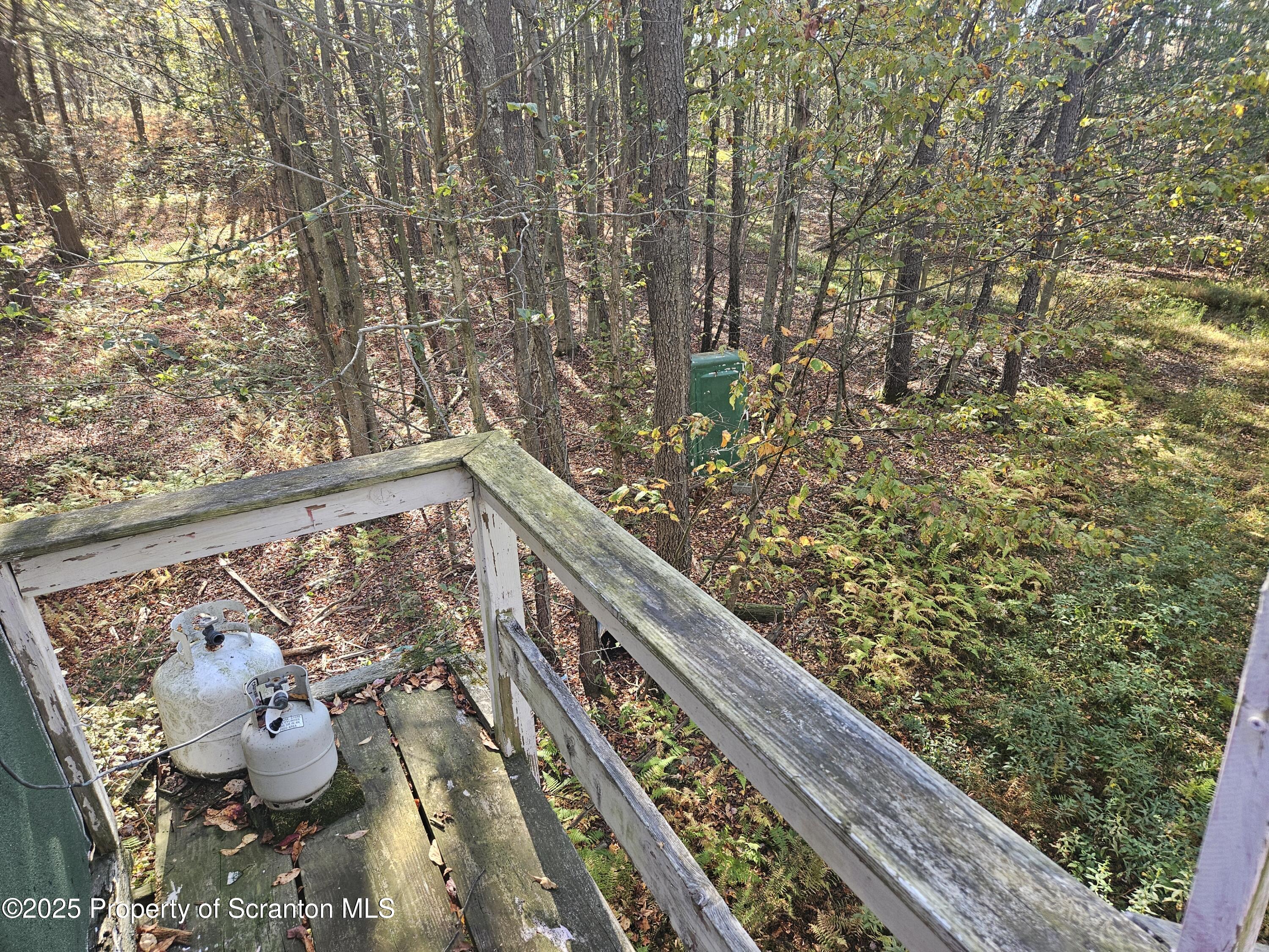 Gas Hollow Road Newfoundland, PA 18445 - Photo 9 of 20 20251004_094550b