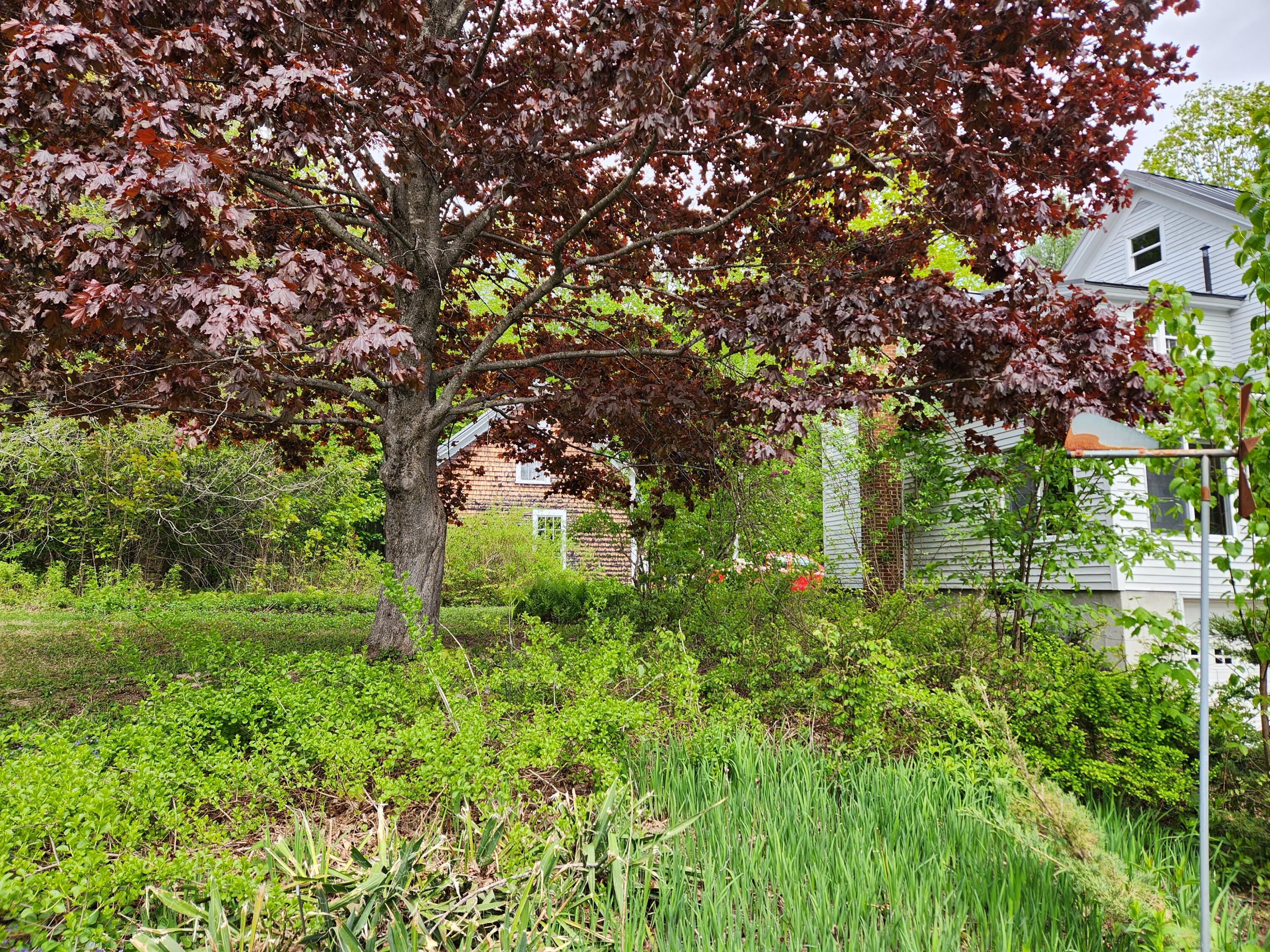 110 Christian Ridge Road South Paris, ME 04281 - Photo 57 of 69 20230517_144520