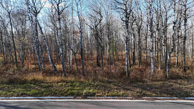 $153,000 | Xxxx Yellow Birch Trail, Duluth, MN 55810