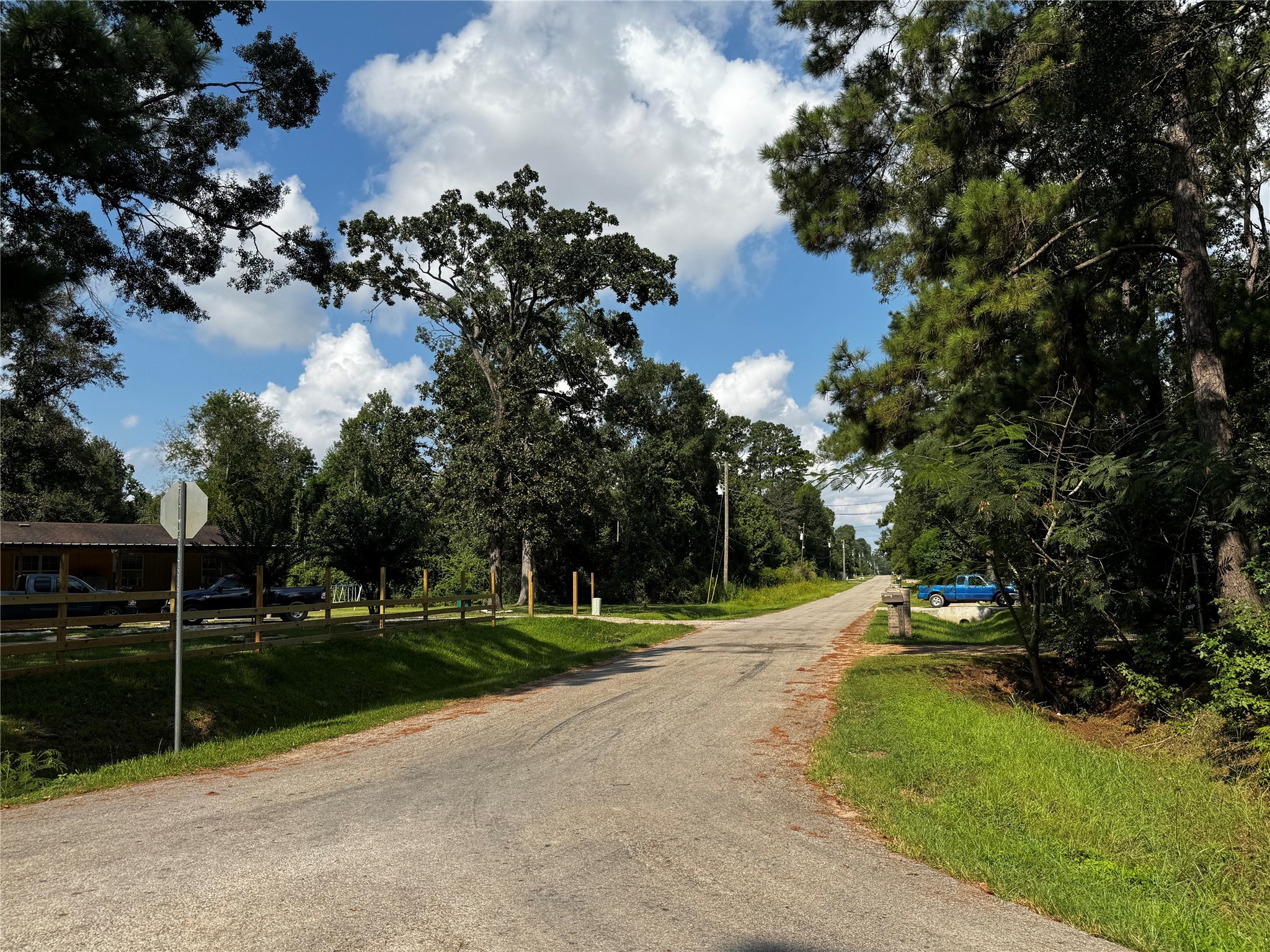 17632 Drowsy Pines Conroe, TX 77306 - Photo 12 of 13 a view of road with grass and a trees