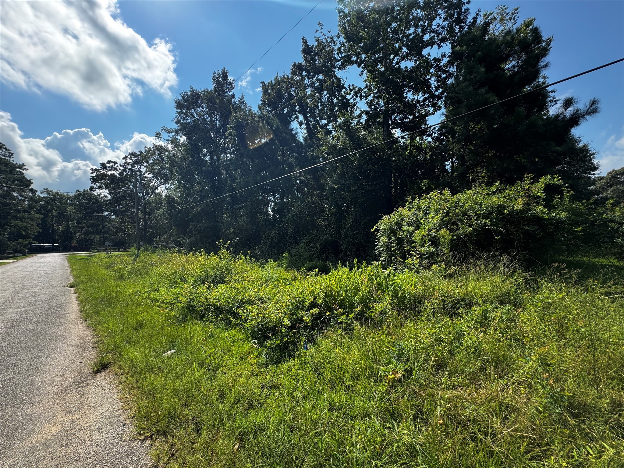 17632 Drowsy Pines Conroe, TX 77306 - Photo 5 of 13 a backyard of a house with lots of green space