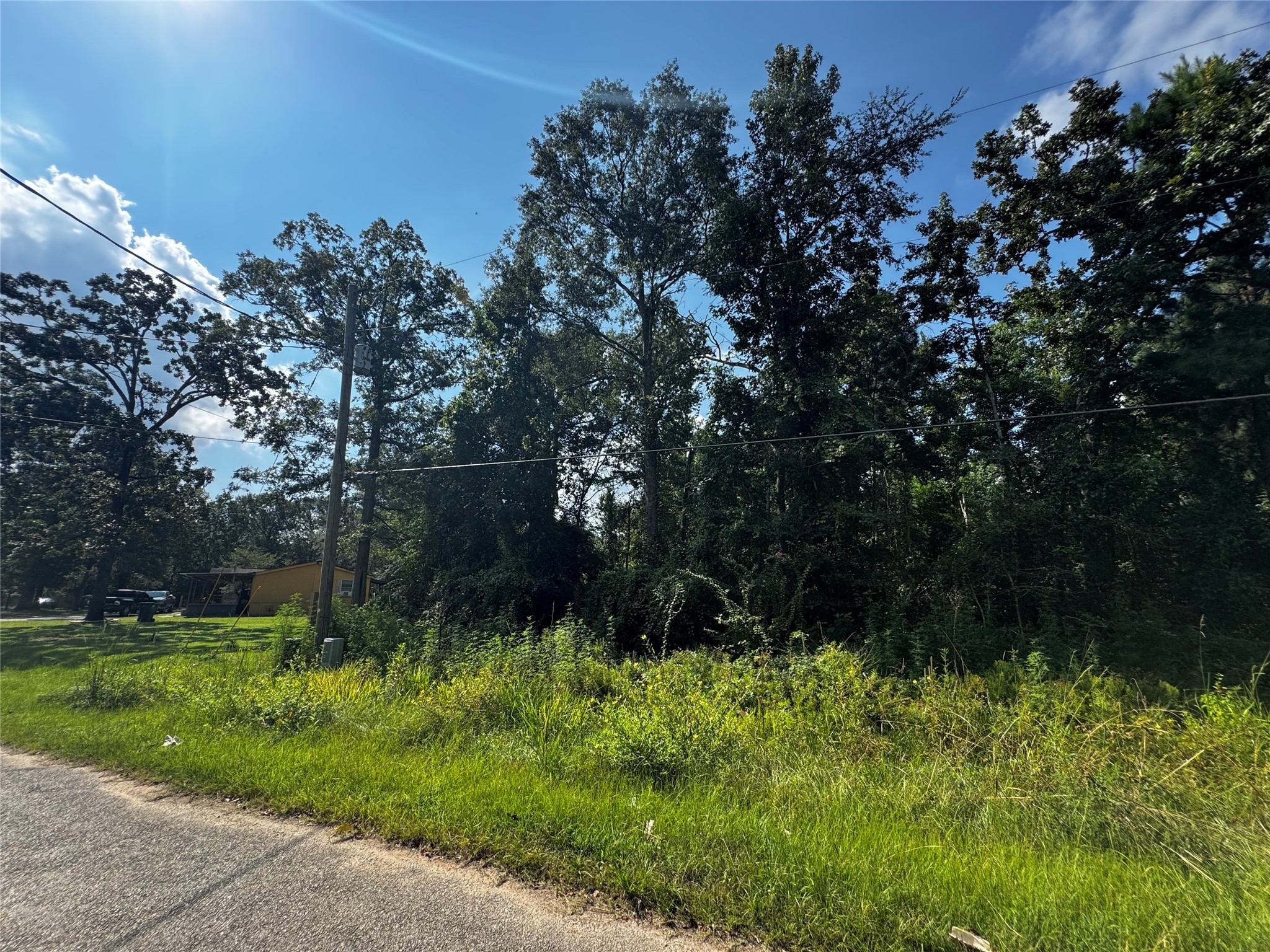 17632 Drowsy Pines Conroe, TX 77306 - Photo 8 of 13 a view of backyard with green space
