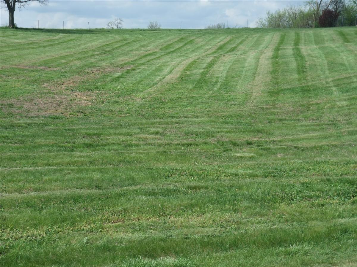 300 Manley Leestown Road Frankfort, KY 40601 - Photo 6 of 11 Photo 7