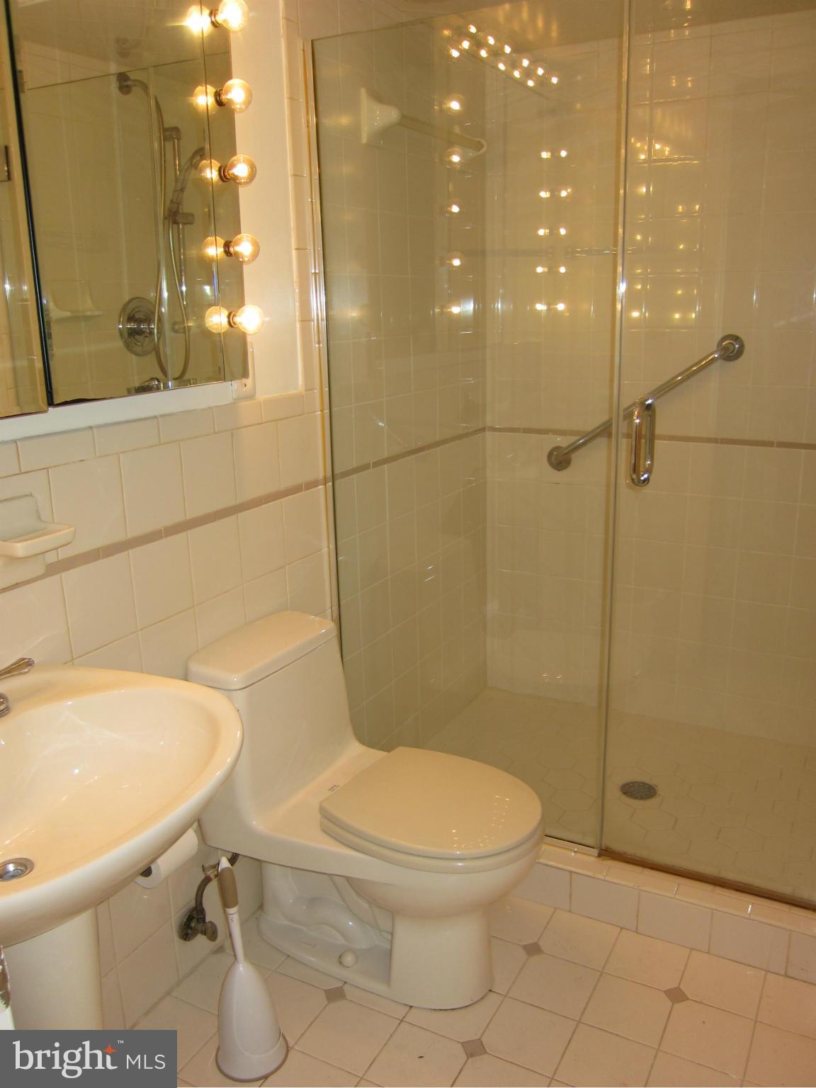 15212 Winstead Lane Silver Spring, MD 20905 - Photo 26 of 30 Upgraded bath in lower level