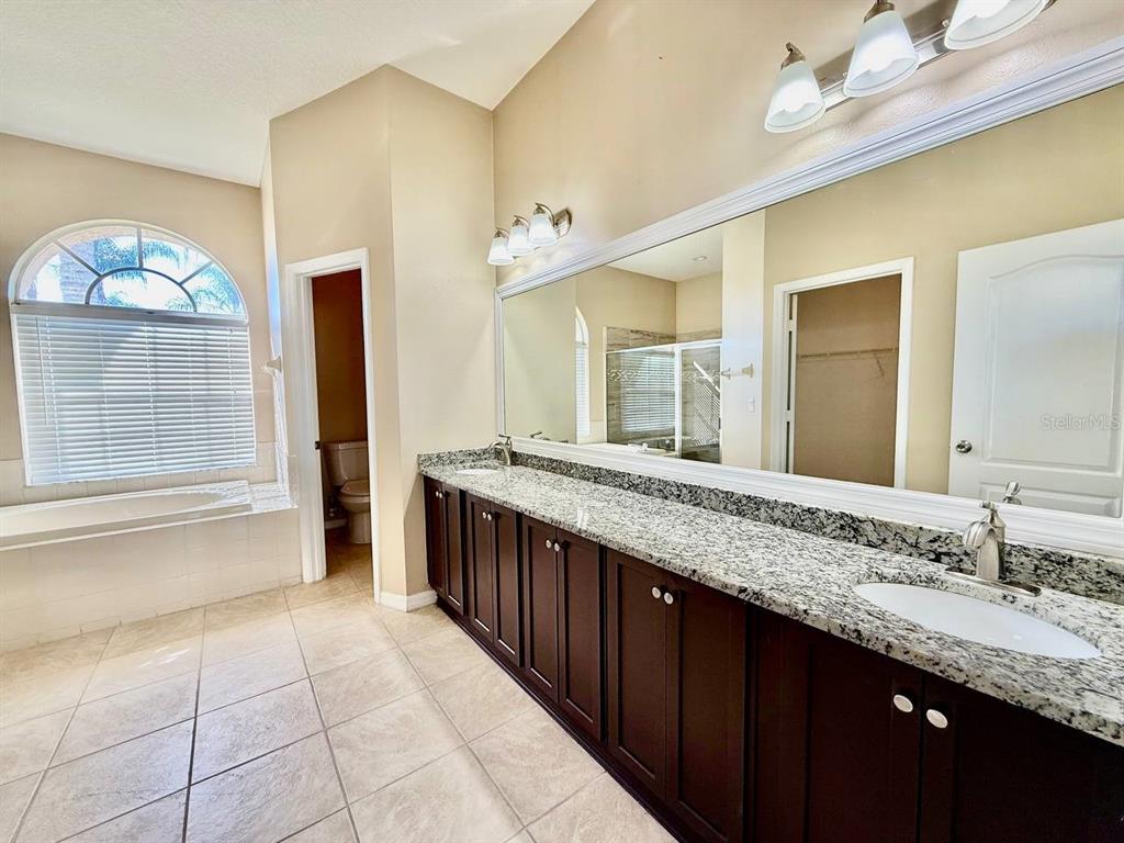 22320 Red Jacket Lane Land O' Lakes, FL 34639 - Photo 10 of 35 a bathroom with a granite countertop sink a large mirror and a bathtub next to a window