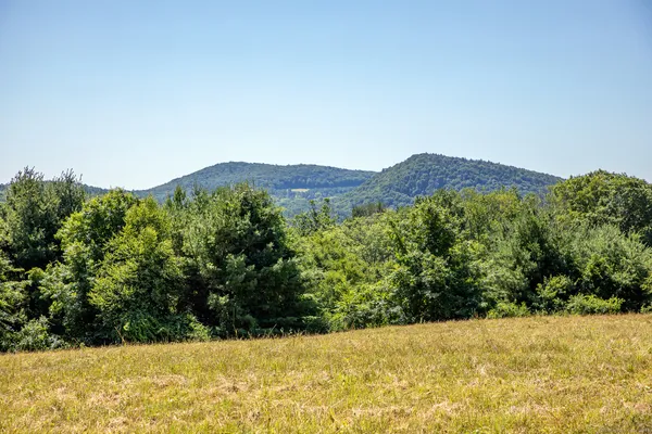 $1,750,000 | Under Mountain Road, Salisbury, CT 06068