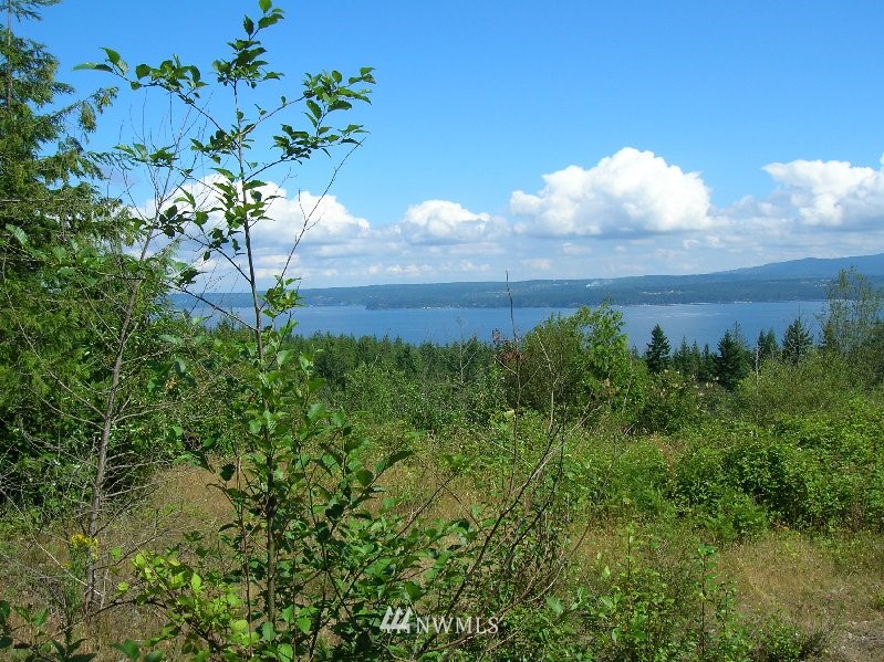 0 Moose Mountain Road Brinnon, WA 98320 - Photo 1 of 16 Gallery Image 1