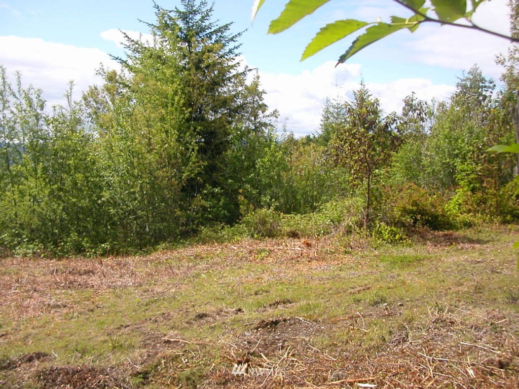 0 Moose Mountain Road Brinnon, WA 98320 - Photo 14 of 16 Gallery Image 14