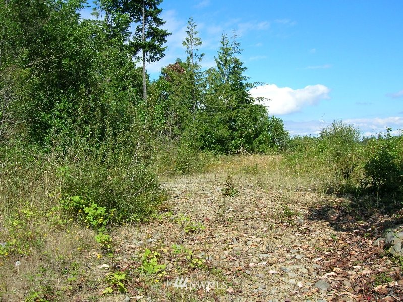 0 Moose Mountain Road Brinnon, WA 98320 - Photo 3 of 16 Gallery Image 3