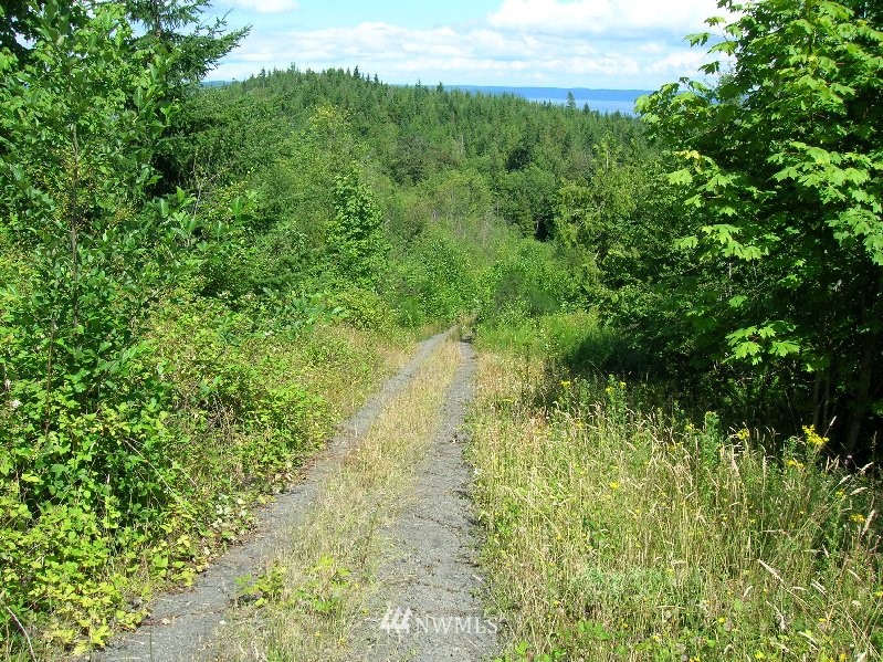 0 Moose Mountain Road Brinnon, WA 98320 - Photo 4 of 16 Gallery Image 4