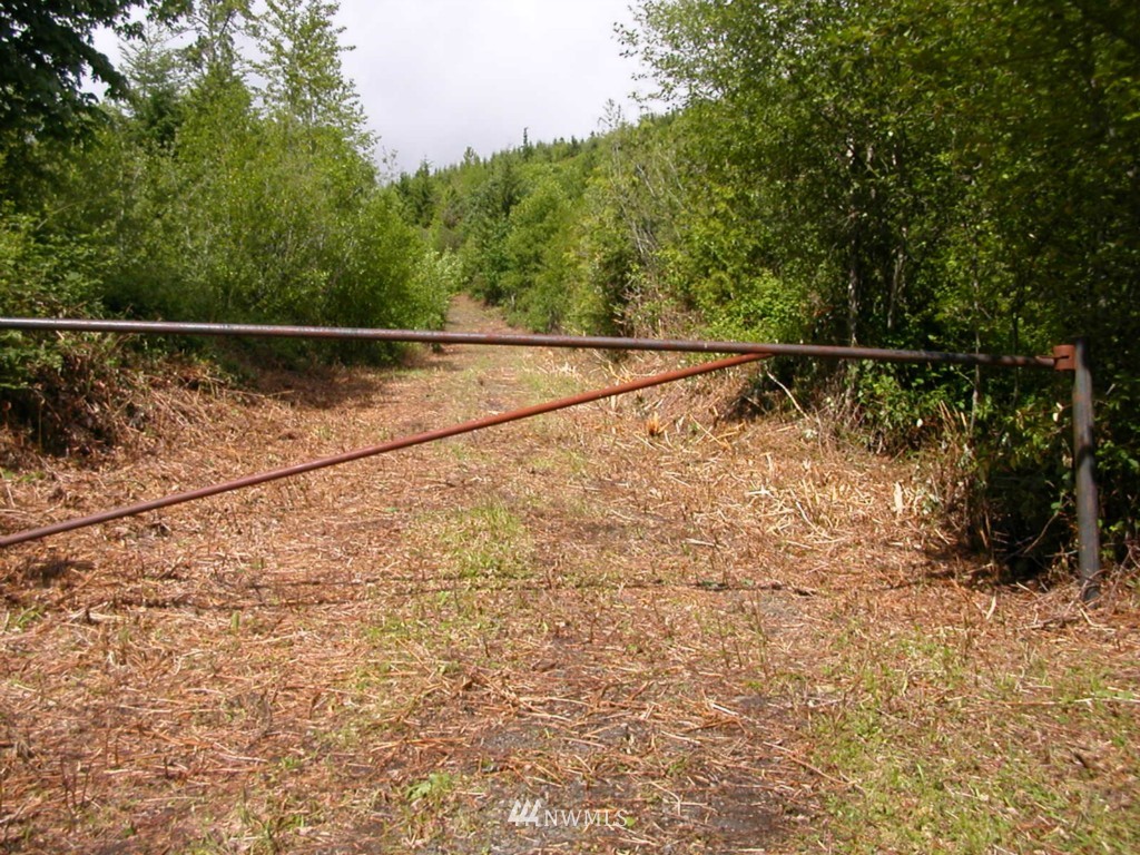 0 Moose Mountain Road Brinnon, WA 98320 - Photo 5 of 16 Gallery Image 5