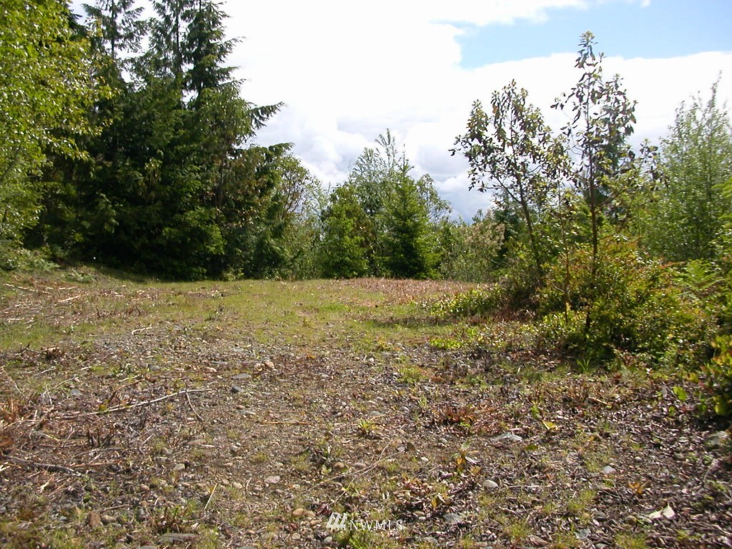 0 Moose Mountain Road Brinnon, WA 98320 - Photo 9 of 16 Gallery Image 9