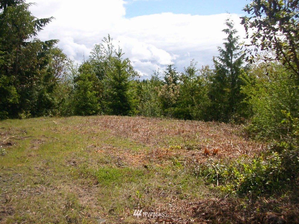 0 Moose Mountain Road Brinnon, WA 98320 - Photo 10 of 16 Gallery Image 10