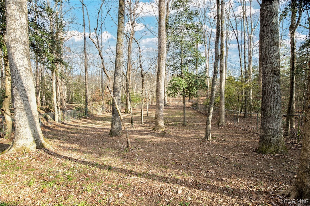 10361 Spring Run Road Chesterfield, VA 23832 - Photo 6 of 39