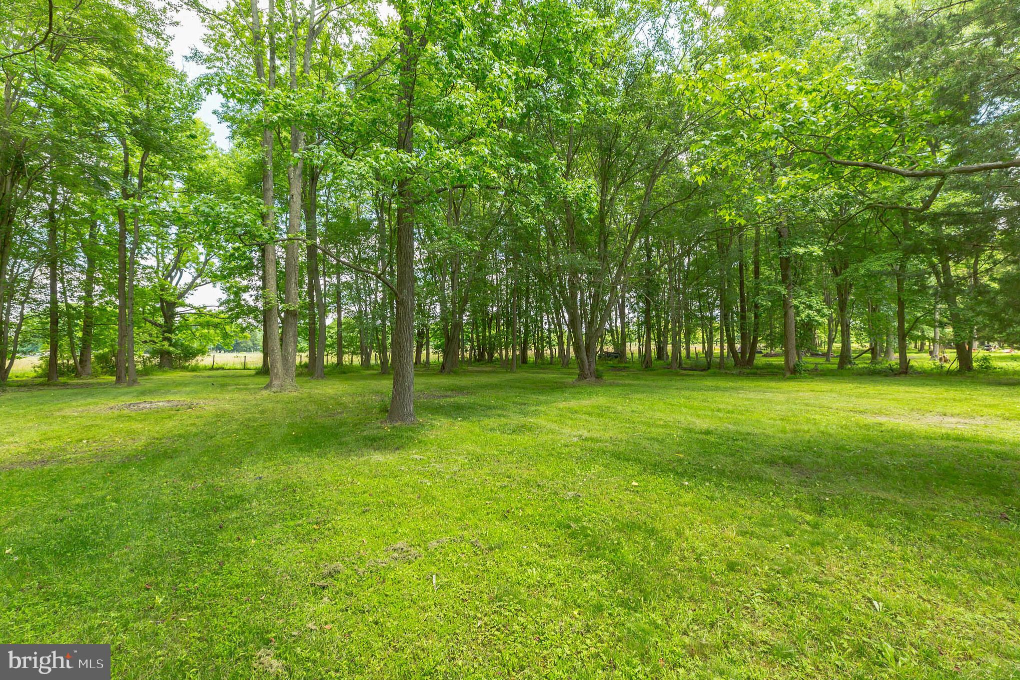 99 Jacobstown Road New Egypt, NJ 08533 - Photo 3 of 33 Gallery Image 3