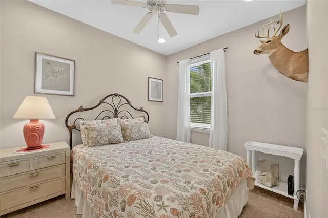 a view of a garden with a plant