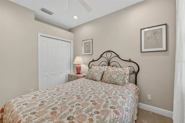 a view of a lush green forest