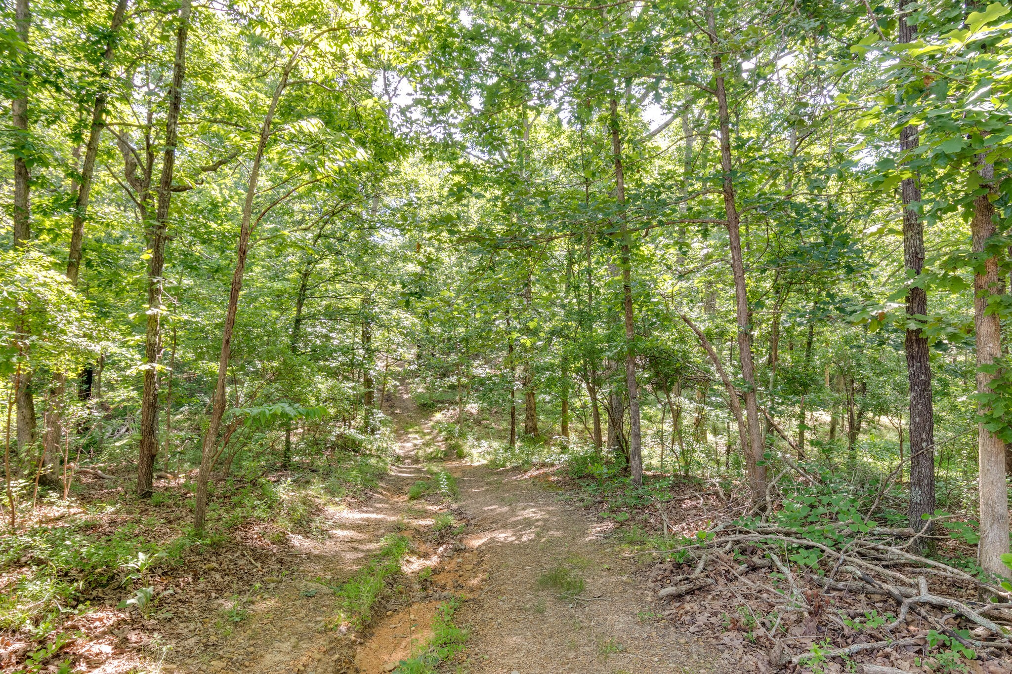 115 Lost Arrowhead Road Summertown, TN 38483 - Photo 16 of 23 Gallery Image 16