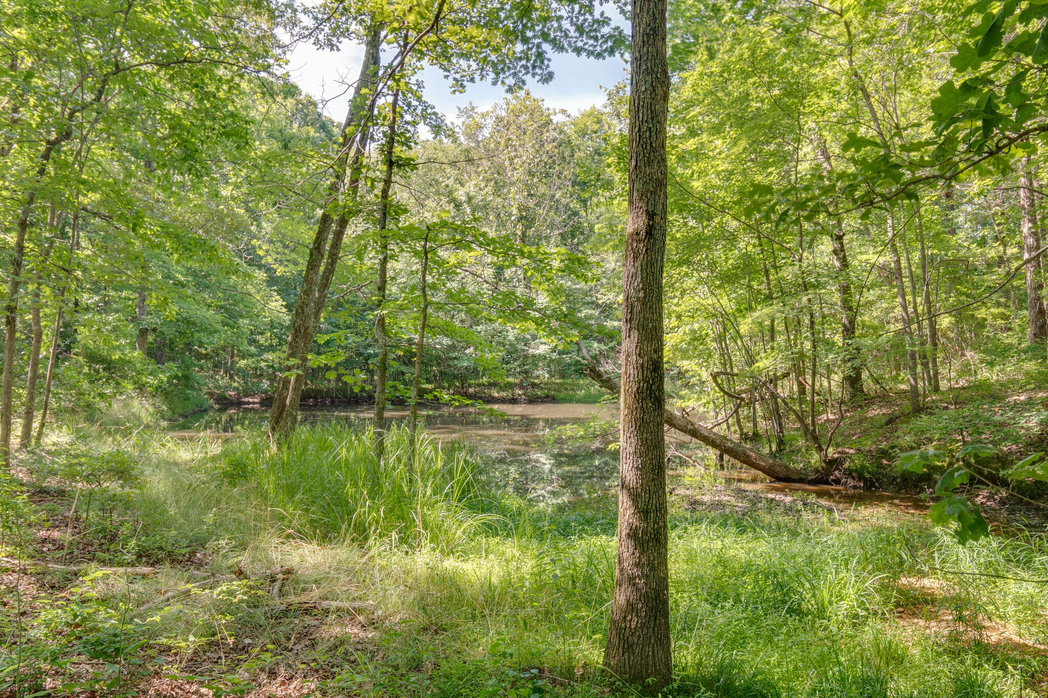 115 Lost Arrowhead Road Summertown, TN 38483 - Photo 17 of 23 Gallery Image 17