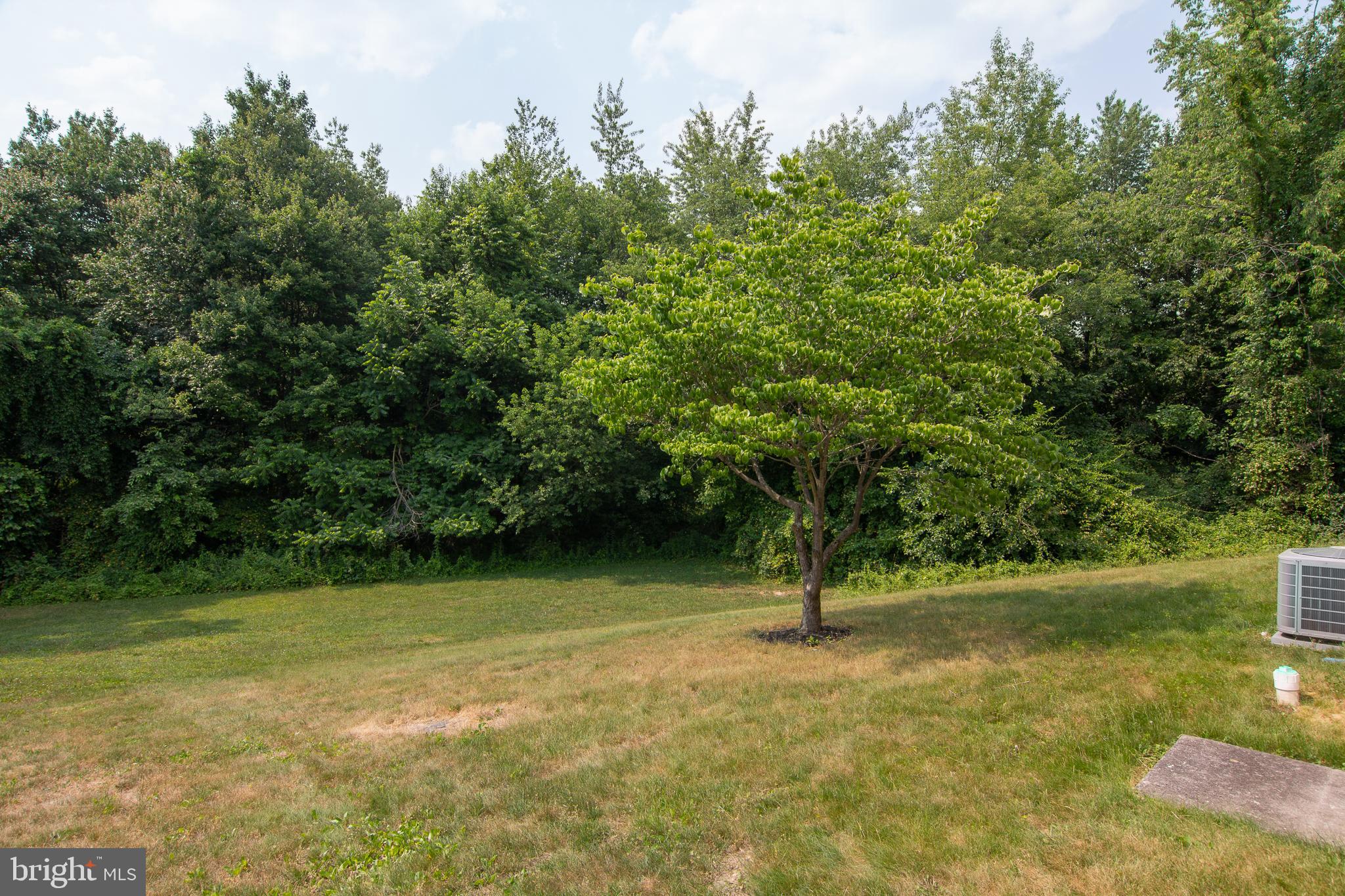 3814 Dakota Road Hampstead, MD 21074 - Photo 36 of 37 back yard