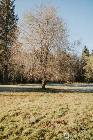 $229,000 | 170 Sportsman Club Road, Forks, WA 98331