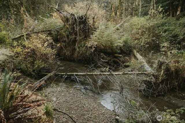 $229,000 | 170 Sportsman Club Road, Forks, WA 98331