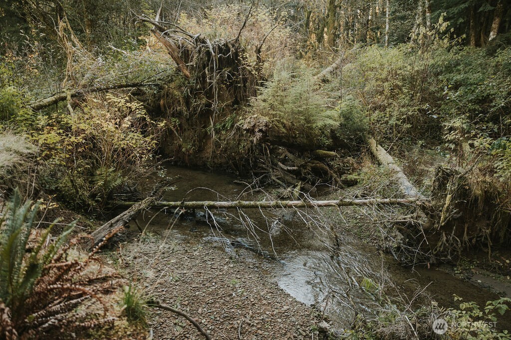 170 Sportsman Club Road Forks, WA 98331 - Photo 2 of 17