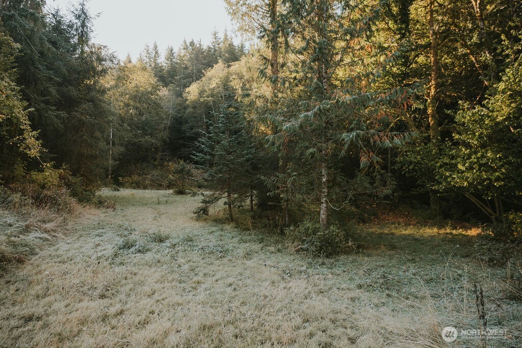 170 Sportsman Club Road Forks, WA 98331 - Photo 4 of 17