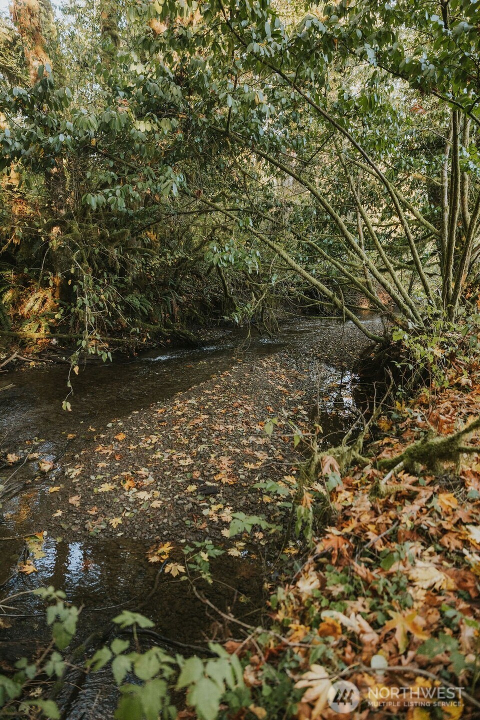 170 Sportsman Club Road Forks, WA 98331 - Photo 5 of 17