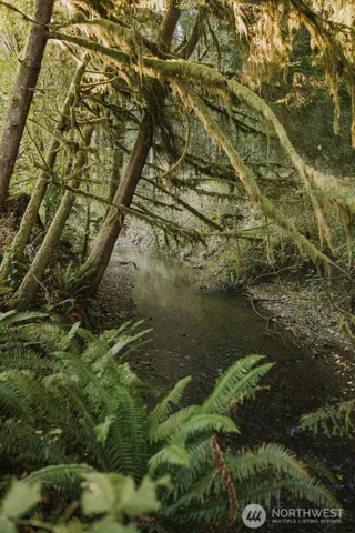 $229,000 | 170 Sportsman Club Road, Forks, WA 98331