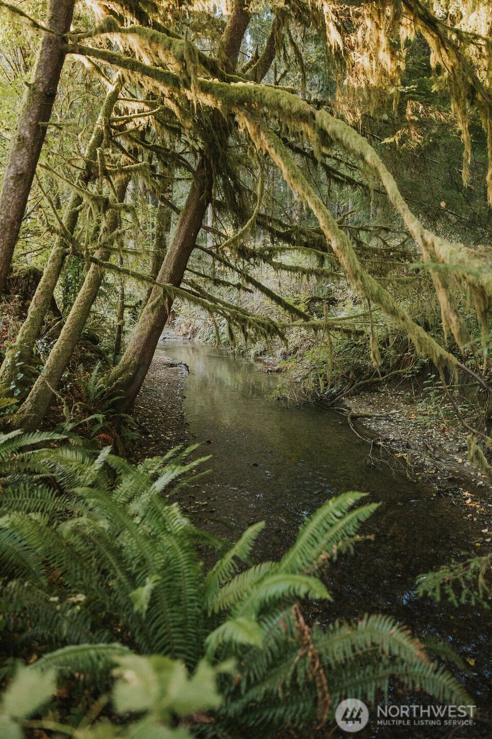 170 Sportsman Club Road Forks, WA 98331 - Photo 6 of 17