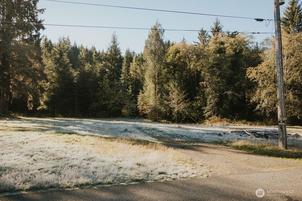 170 Sportsman Club Road Forks, WA 98331 - Photo 10 of 17