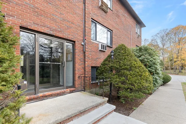 a view of a yard with trees