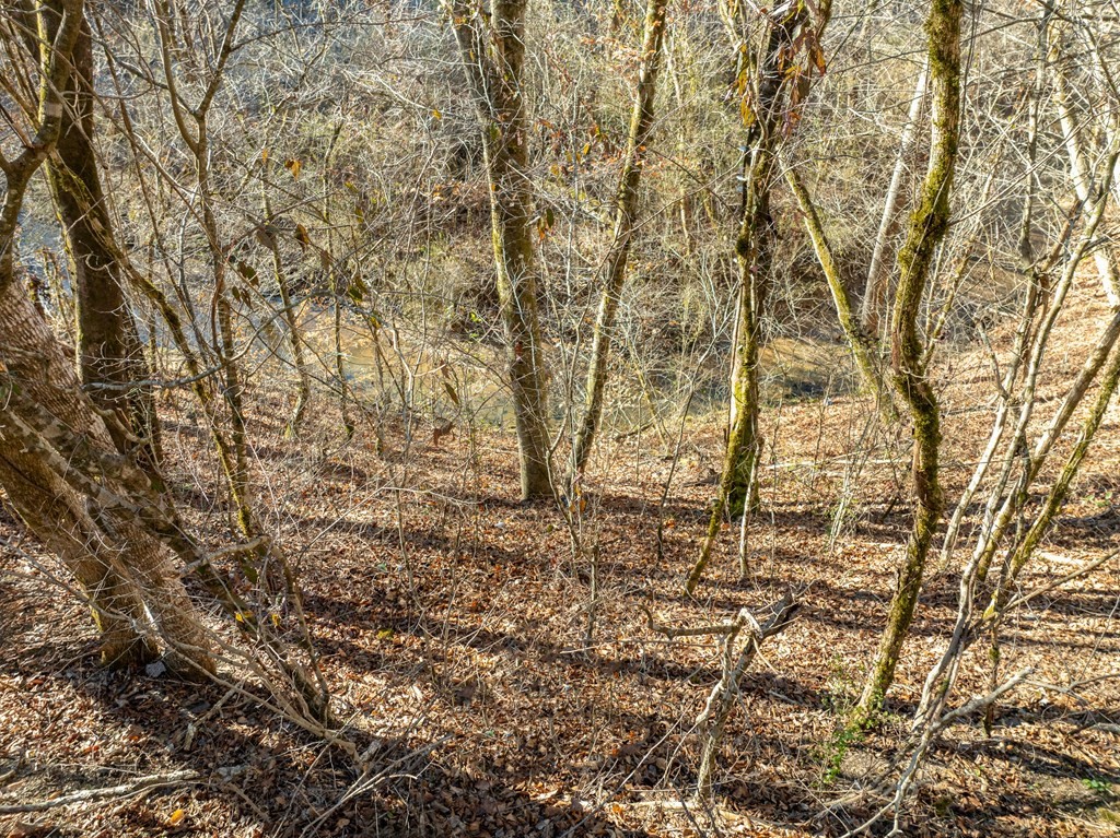0 Middle Creek Road Cosby, TN 37722 - Photo 17 of 30