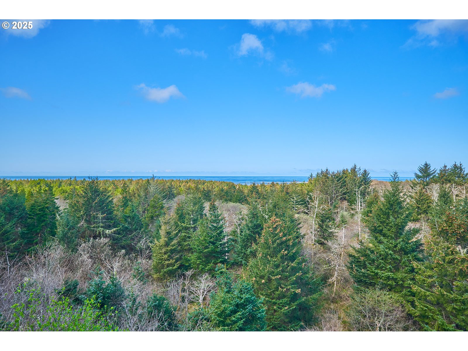 2815 Willows Road Seaview, WA 98644 - Photo 16 of 25