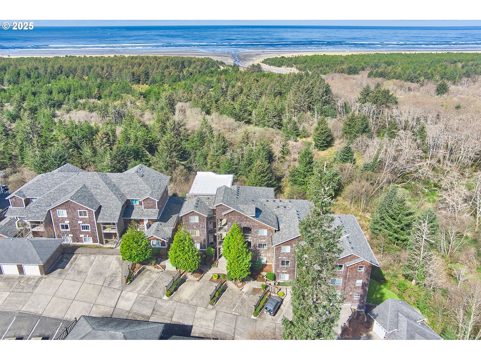 2815 Willows Road Seaview, WA 98644 - Photo 21 of 25