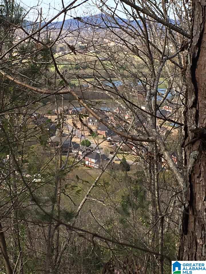 230 County Line Road Oxford, AL 36203 - Photo 31 of 50