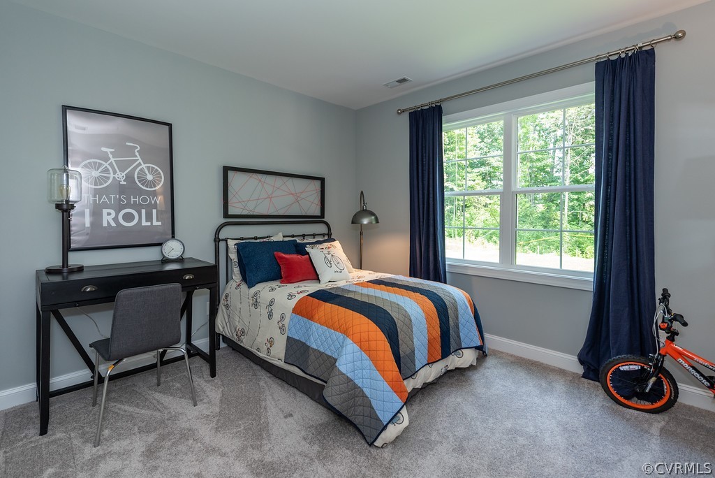 106 Lauradell Road Ashland, VA 23005 - Photo 18 of 18 Gallery Image 18